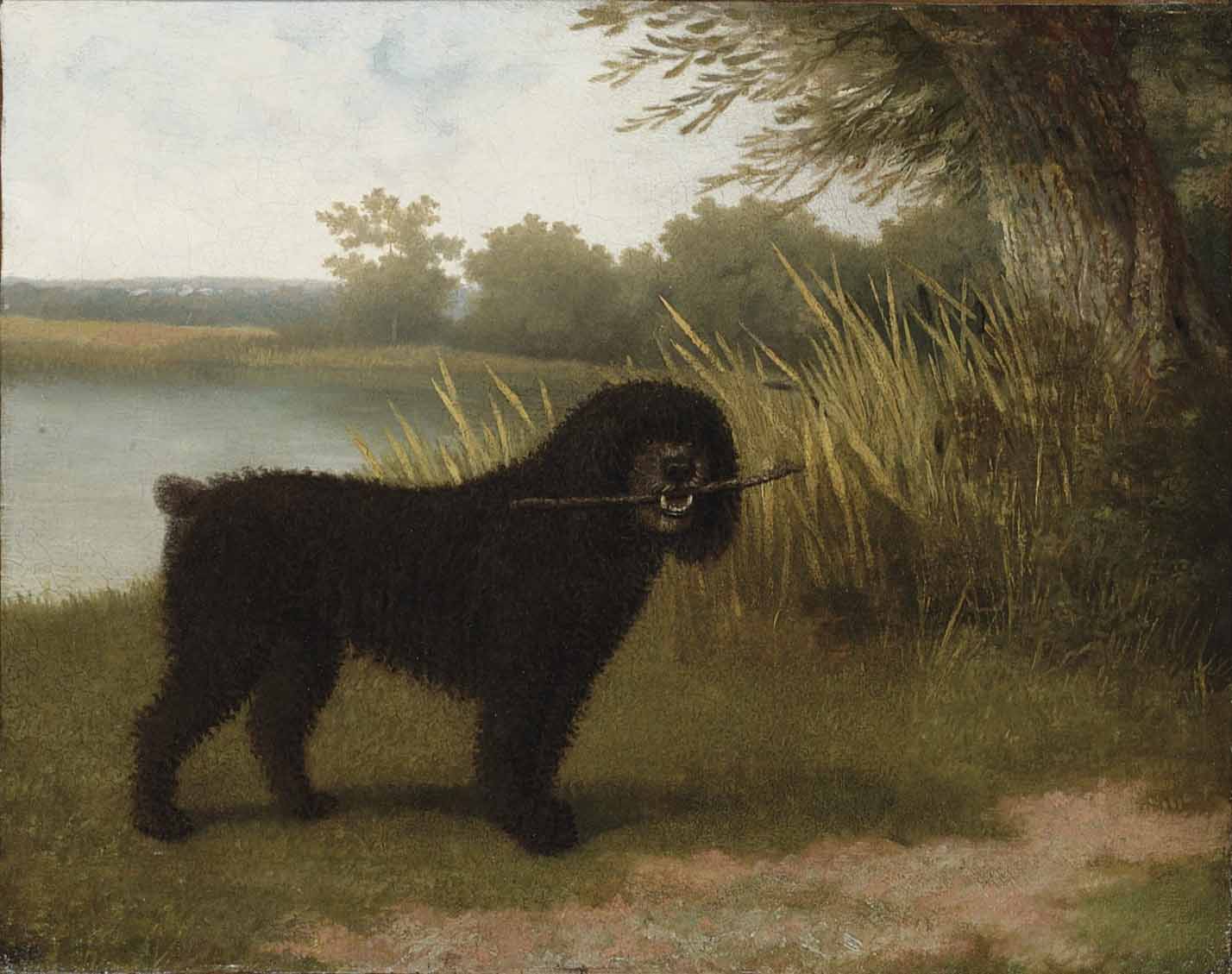 A black water dog with a stick by a lake